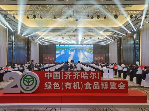 綠色與數字交相輝映 齊齊哈爾食博會展現發展新活力